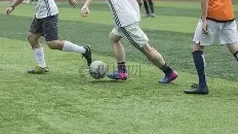 鹏城新赛季主场揭幕战 2025-02-19