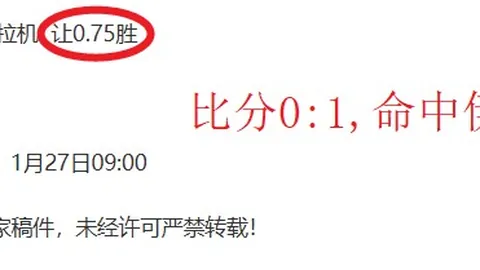 北西兰VS布隆德比：丹麦超专家解析及比分预测